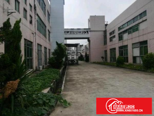 平湖主干道旁厂房三楼整层4000平可分租