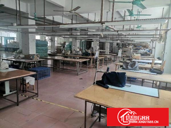 四联新空出独门独院厂房大小可分租100平起！