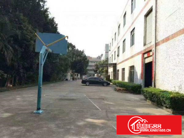 出租龙岗区横岗标准一楼厂房1250平方米