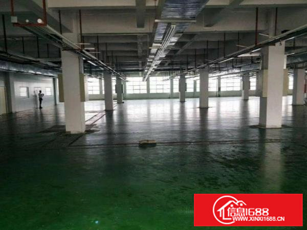 横沥水边新出原房东独门独院1000平厂房分租