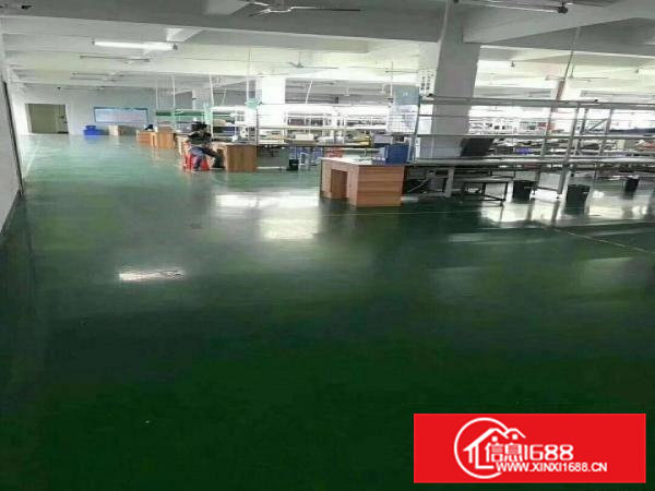 桥头镇新出原房东三层5500平方独门独院厂房租出租