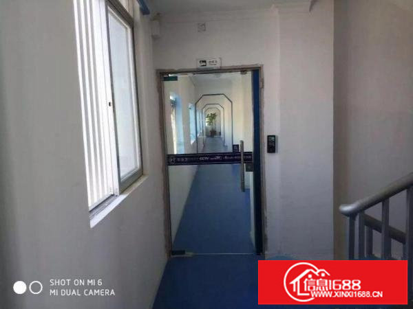 （原房东）坪山高铁站附近新出办公室写字楼出租带装修