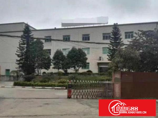 观澜章阁原房东精装修厂房800平方大小可分租