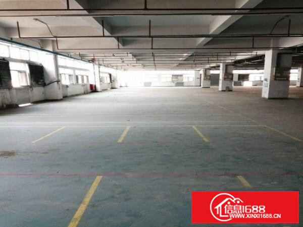 清溪大路边，1到5楼500平起分租，价格低于10元起