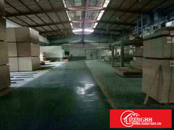 惠阳新圩4500平独栋钢构高8米空地超大可分租