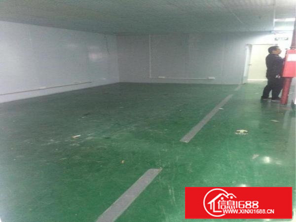 坂田路口250平方到350平方