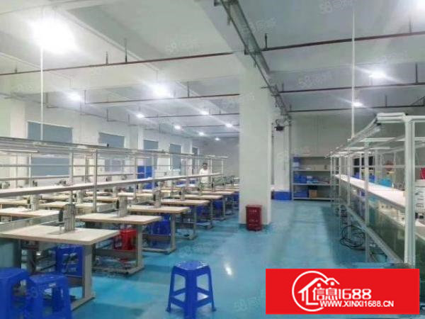 福永新和2200平方带装修厂房出租沿江高速口附近工业厂房分租