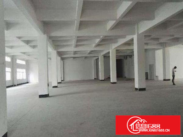 超漂亮！大朗大井头全新独院两层800平方厂房仅10元招租