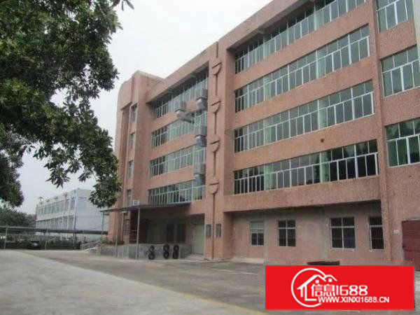 豪华装修办公室大朗黎贝岭广场附近新出二楼3500平