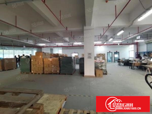 凤岗金凤凰大道边上新出楼上2700平米带消防喷淋厂房出租