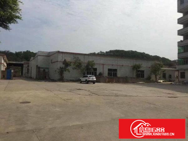 业主直招！凤岗8米高钢结构厂房800平行业不限