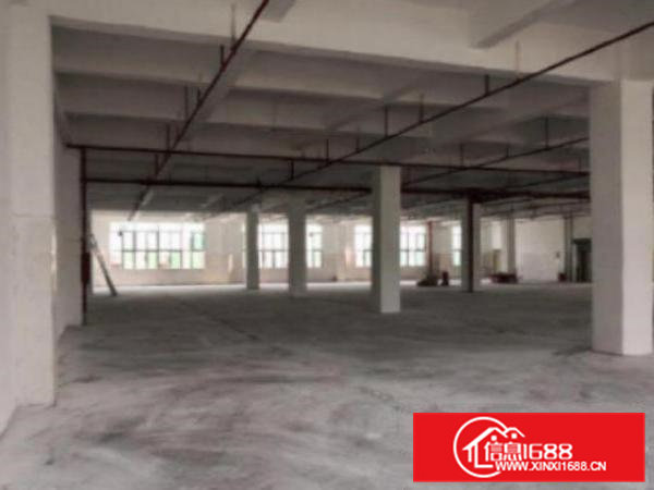 高埗工业区一楼厂房出租900平米，带消防喷淋工业区一楼厂房