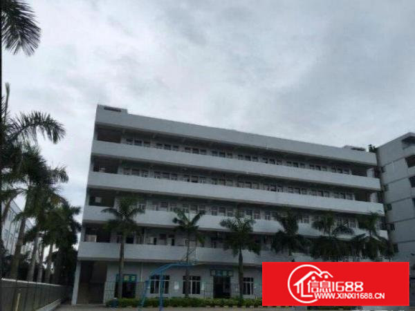 一手房东花园式独院厂房7800平方招租有独立办公楼水电到位