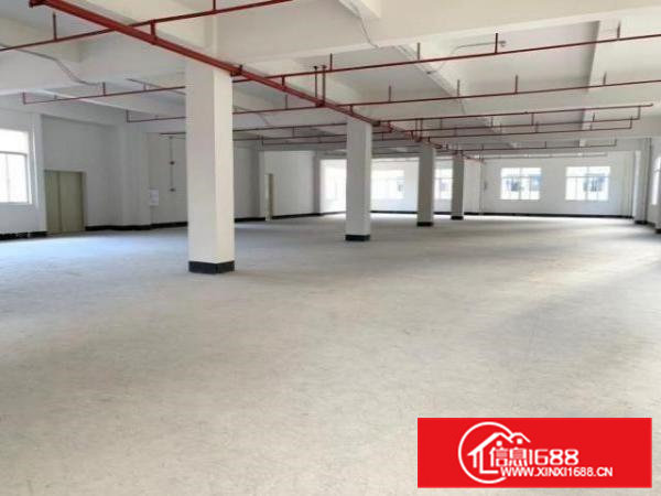 清溪大马路边九成新厂房楼上带消防喷淋800平米招租