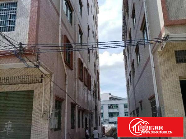 新出寮步镇岭厦全新工业厂房整栋招租