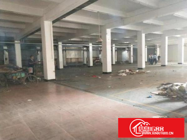 中介勿扰！一楼实用面积1300，看得懂的老板速联系