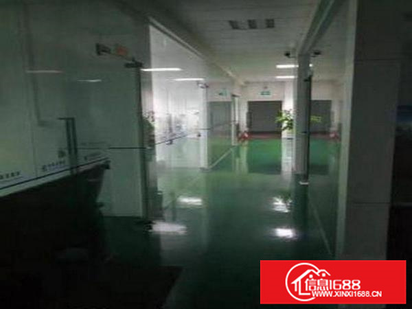 沥林新出楼上1000平厂房火爆招租