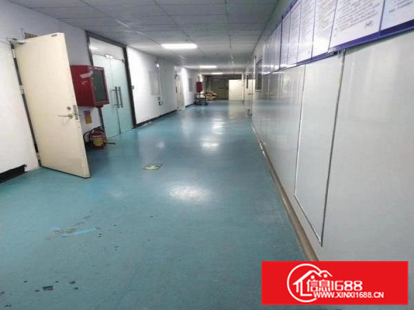 茶山镇出租二楼厂房900平方适合电子设备等等行业