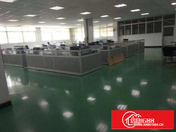 坂田新出楼上1350平米无尘车间出租
