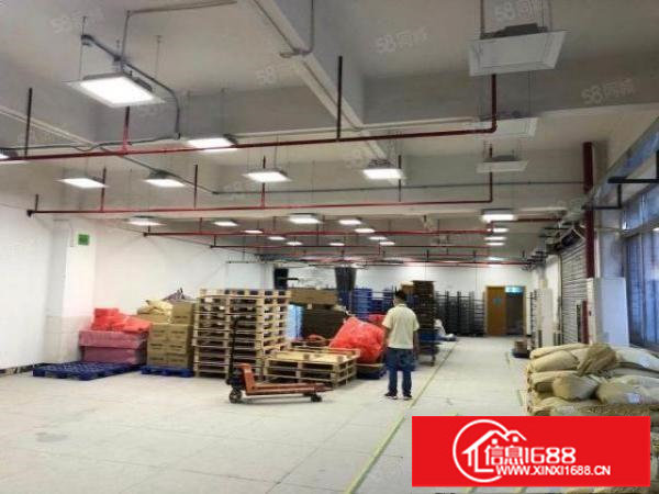 龙岗坂田原房东单层面积3500平厂房出租适合物流仓储中转站