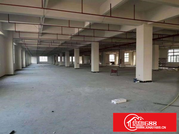 东莞桥头镇新出原房东带消防标准厂房2300平方出租