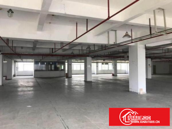 龙岗区坂田新出楼上1600平出租