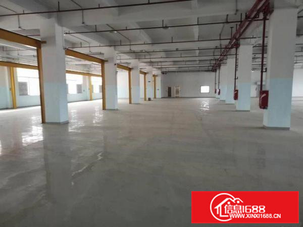 独院厂房分租一楼整层3960平6米高带行车适合模具注塑