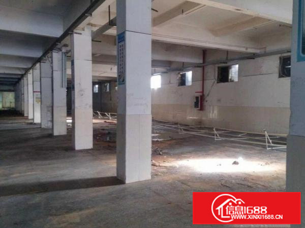 横江厦招租标准一楼厂房1000平方原房东分租