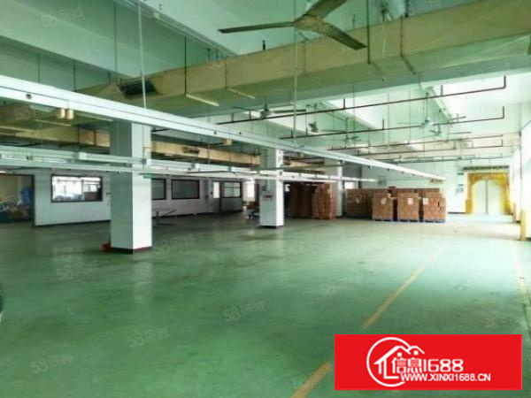 石碣桔州独院厂房7500方（可分租空地大好办环评）