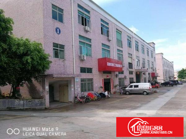 龙岗新生三楼550平清盘价空地1000