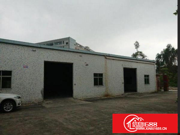 新木村委厂房招租2000平米，900平米起整租
