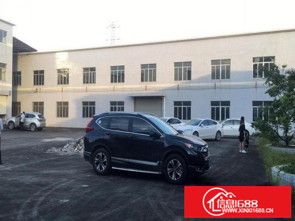 超大空地免费用！独院厂房出租5000平可办环评了分租