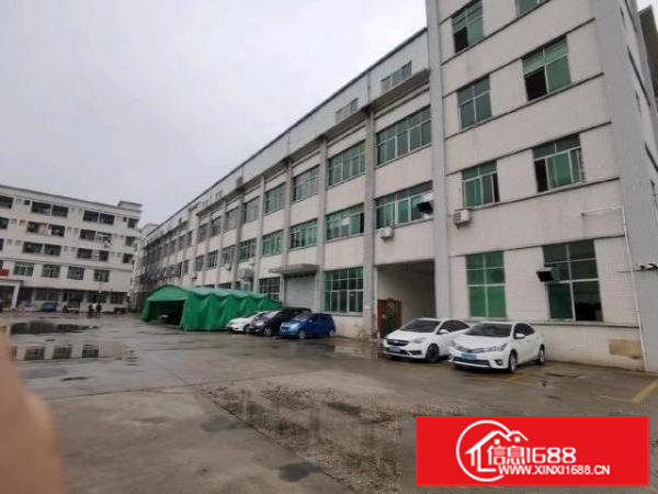 园区标准厂房四楼2800平米