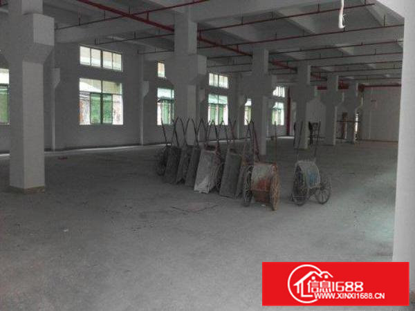 全新独栋5000平方厂房出租！可整租也可分租最小五百