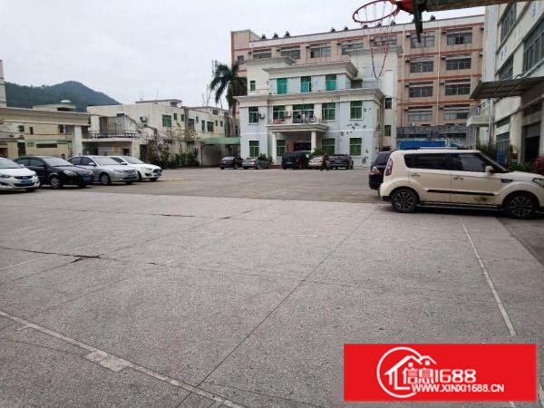 205国道边标准一楼厂房650平出租，有空地