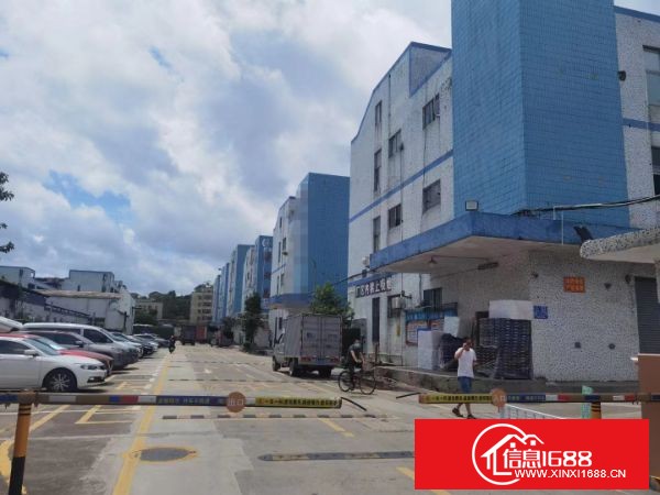 沿江高速长安厦岗原房东红本独院1000平起分租