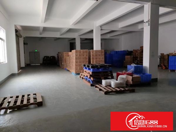 沿江高速长安厦岗原房东红本独院1000平起分租