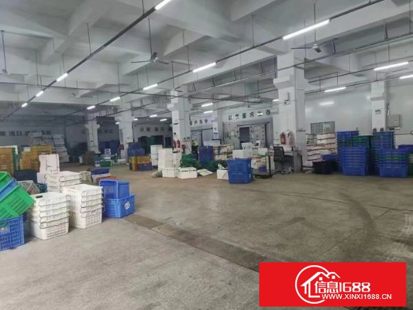 横岗六约地铁站附近新出一楼2600平方出租，可分租