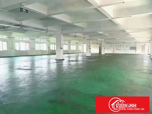 东莞长安上沙新空出楼上1800平方业主特价处理