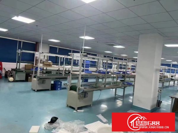 东莞长安靠近深圳工业园区新出楼上1500平方带装修