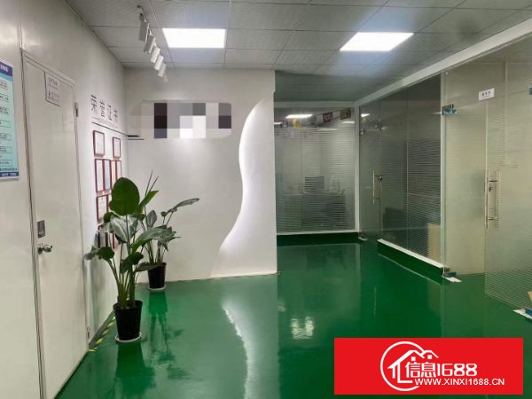 松岗罗田原房东工业园新出厂房 B栋8楼面积1362平方米 现成前台，精装修办公室，无尘车间