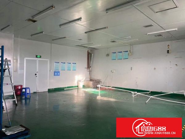 松岗罗田原房东工业园新出厂房 B栋8楼面积1362平方米 现成前台，精装修办公室，无尘车间