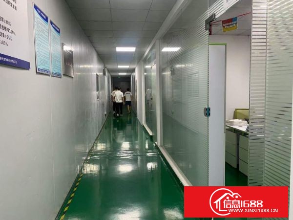 松岗罗田原房东工业园新出厂房 B栋8楼面积1362平方米 现成前台，精装修办公室，无尘车间