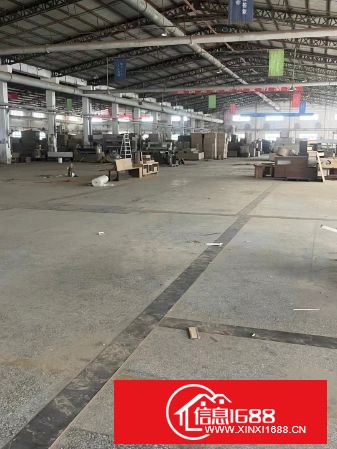 东莞虎门原业主钢结构独院厂房11000平方出租，可分租，高10米