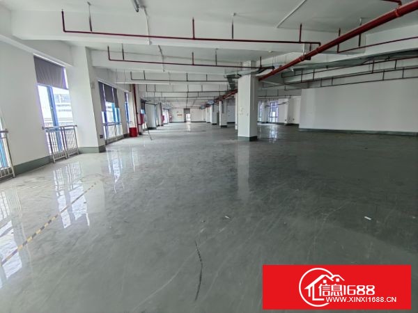 龙岗宝龙高新产业园出租五楼整层3300平方，带县城办公室装修小间无尘车间装修，不需转让费，合同长