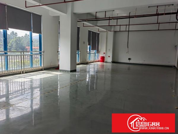 龙岗宝龙高新产业园出租五楼整层3300平方，带县城办公室装修小间无尘车间装修，不需转让费，合同长