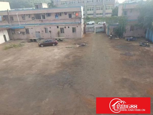 松岗燕川经典独门独院1-2层1700方，实际面积出租，   空地1500方