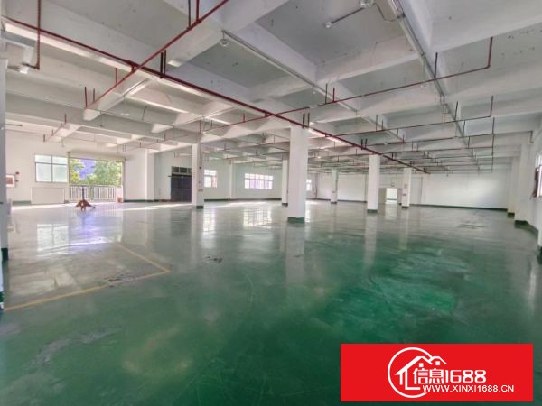 清溪新出原房东独院7000平（实际面积）一楼高4.8米，电630，标准厂房2层，有现成装修，带消防喷淋，2部电梯