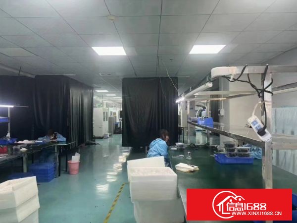 东莞长安镇乌沙社区 月底空出实际面积1600平方 带豪华装修部分无尘车间，洁净车间 水电齐全