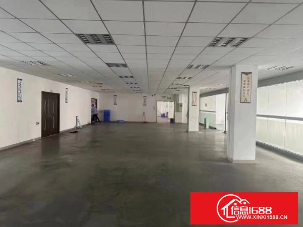 东莞塘厦凤凰岗 高速路口附近 新出楼上2500平方  精装修，水电齐全，可分租